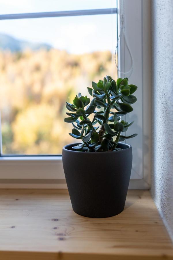 Vila Vlasta Apt. #401 Vysoké Tatry Esterno foto